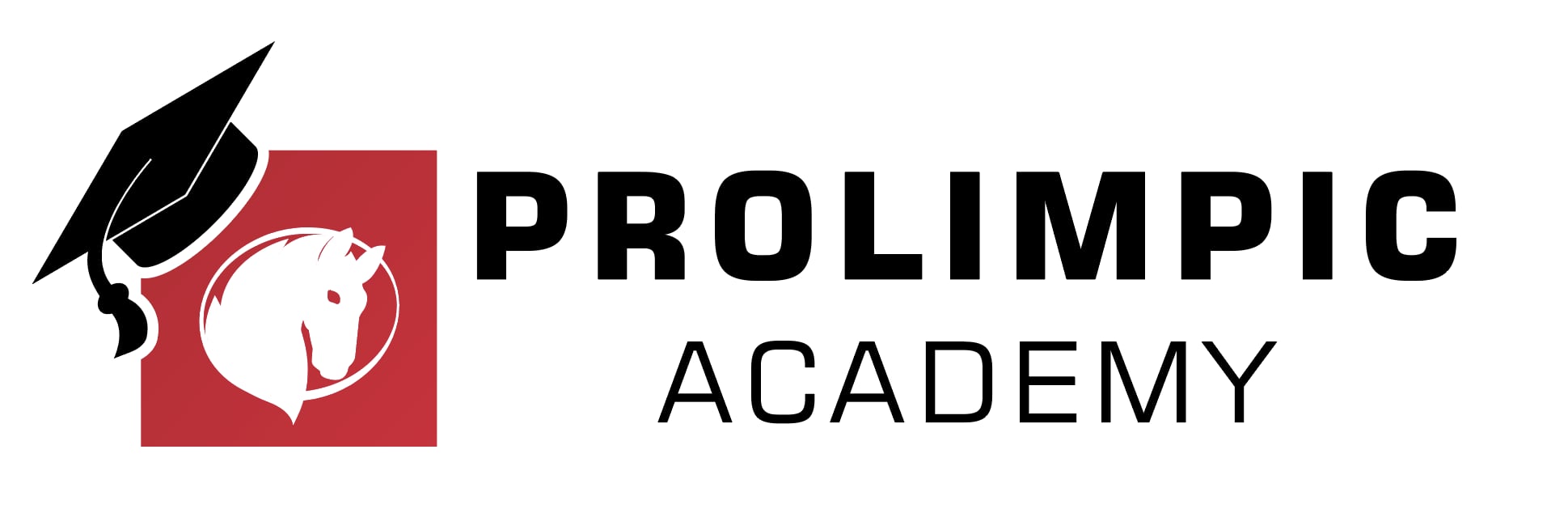Prolimpic Academy symbolizuje pasję do bocci i zaangażowanie w rozwój sportu osób z niepełnosprawnościami w Polsce.