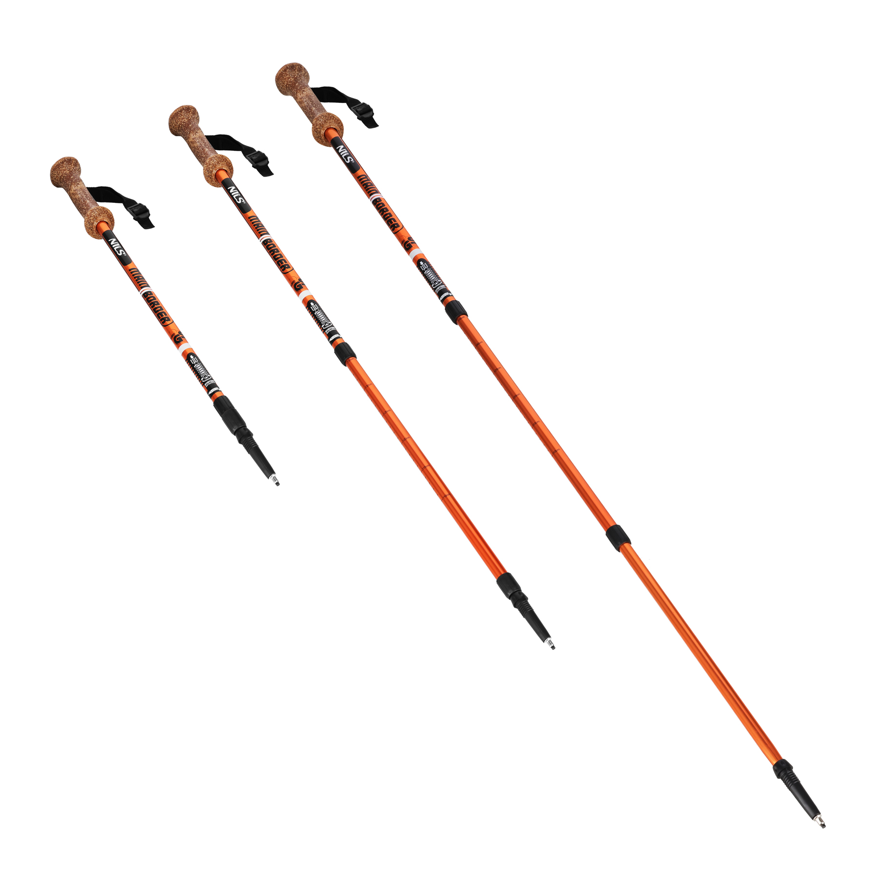 TK696 KIJE TREKKINGOWE NILS TK696 KIJE TREKKINGOWE NILS