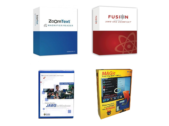 Jaws/fusion/zoomtext/magic licencja czasowa na 90 dni