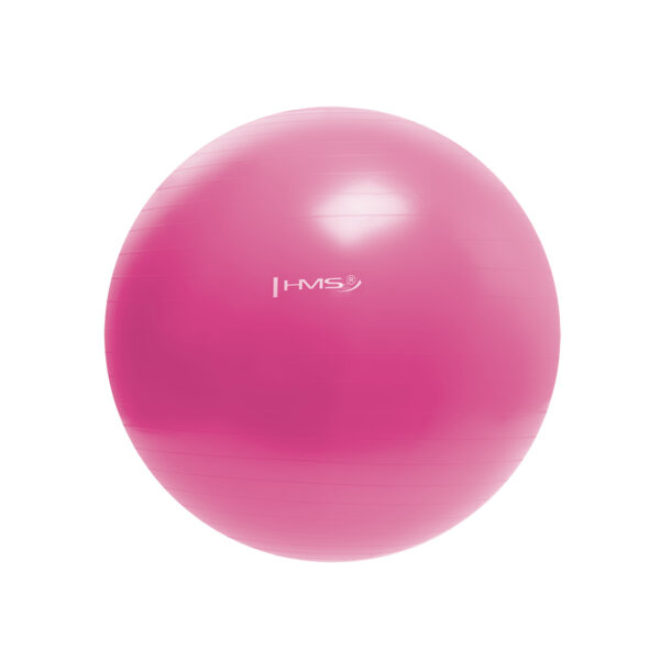 Yb01 new 55cm pink piŁka gimnastyczna hms