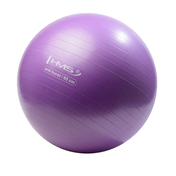 Yb02 new 65cm purple anti-burst piŁka gimnastyczna hms