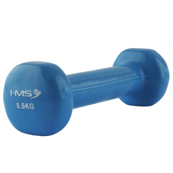 17023 ciĘŻarek Żeliwny pokryty winylem 0.5 kg hms