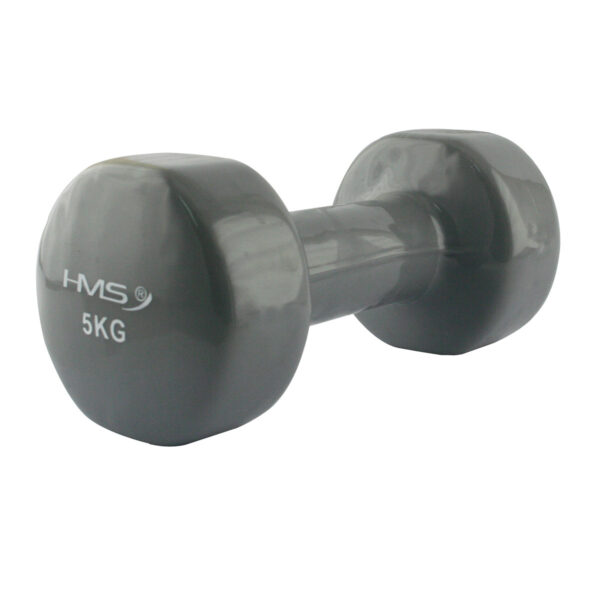 17023 ciĘŻarek Żeliwny pokryty winylem 5.0 kg hms