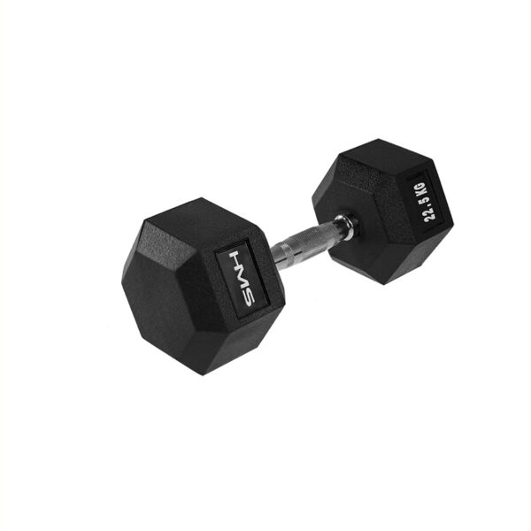 Hex pro 22.5 kg hantla hms