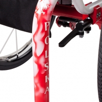 Gtm shock absorber