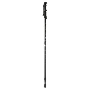 Teleskopowe kijki nordic walking kolor czarny