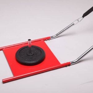 San-1 (sanki treningowe)