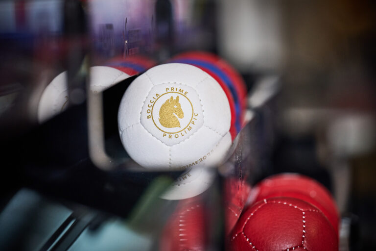 Kibice i zawodnicy na hali – Poznań 2026 World Boccia Challenger