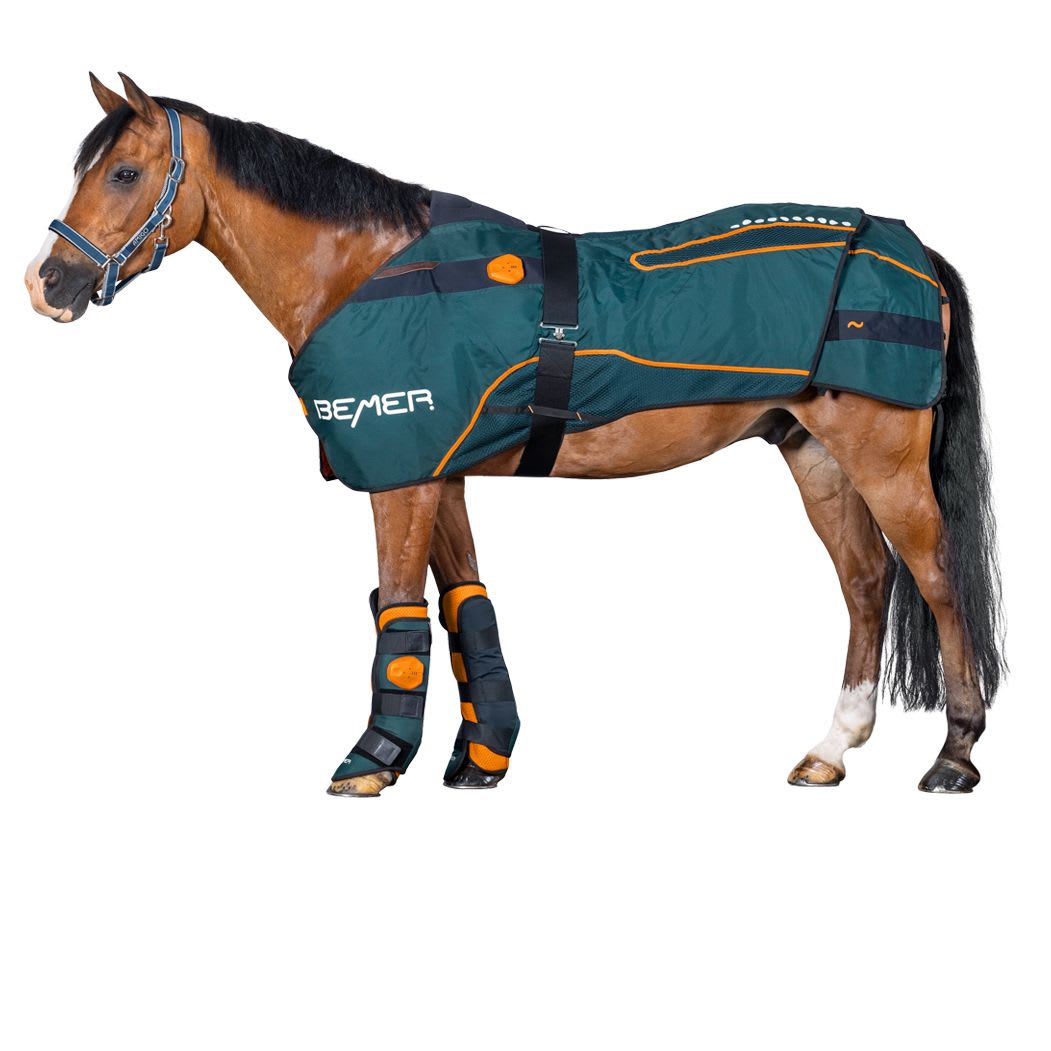 Zestaw BEMER Horse-Set dla koni