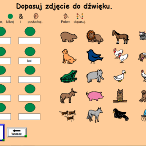 Boardmaker & Speaking Dynamically Pro – oprogramowanie AAC Tobii Dynavox – zdjęcie 5