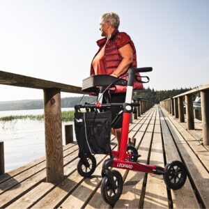 Rollator Leopard Mobilex – zdjęcie 2